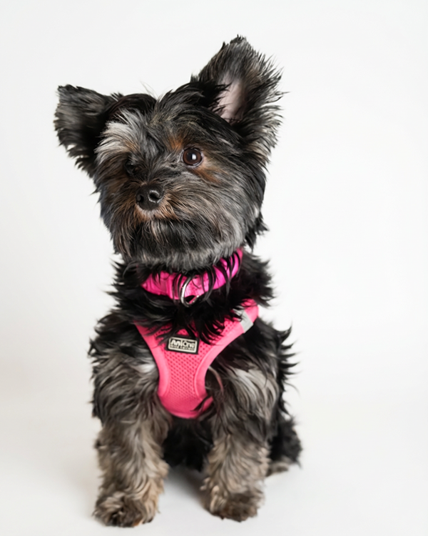 Nelli – Motivations-Coach bei Coolzoone